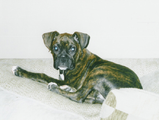 gunny_sofa