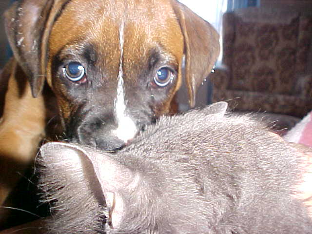 Gus might as well get used to my kisses, I love him so much.  Why doesn't h