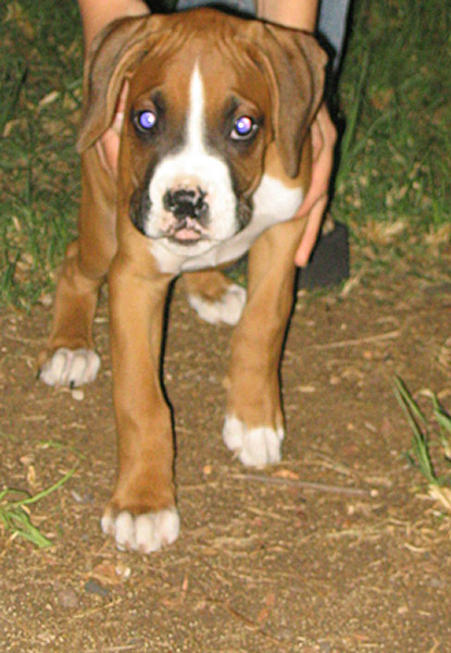 Gustav at 9 weeks