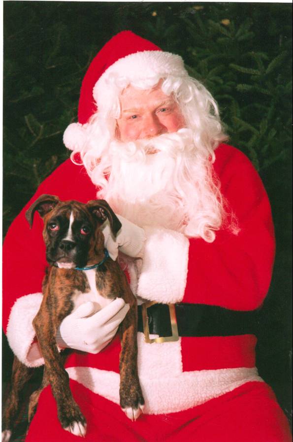Gypsy & Santa