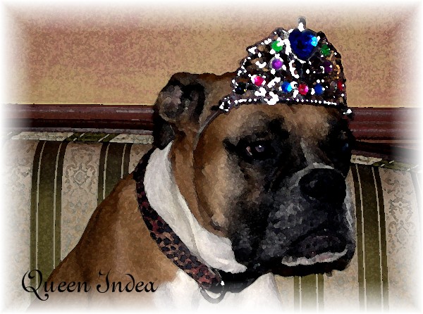HAIL TO THE QUEEN!