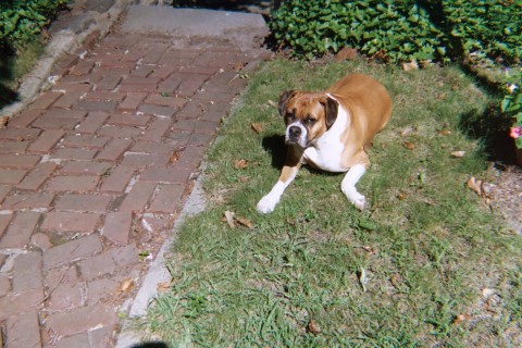 Hailey