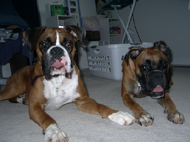 Hailey's New Brother Sam