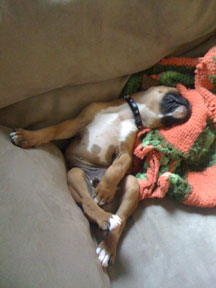 Halen @ 13 Weeks
