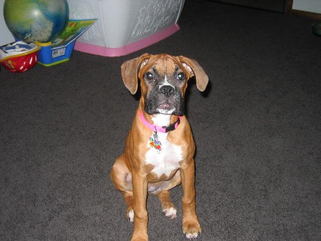 Haley- 3 1/2 months