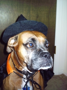 Haley at Halloween