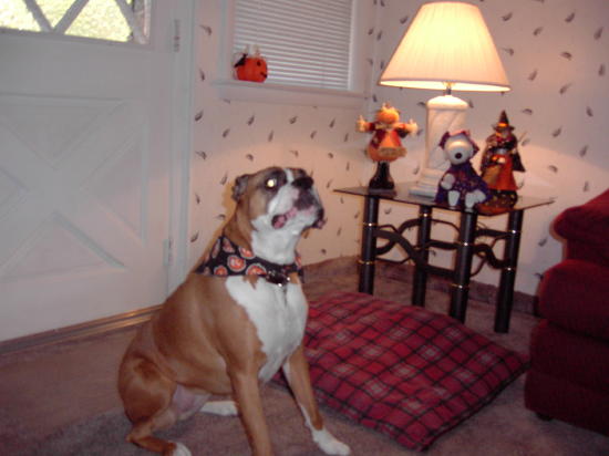 Halloween 2002