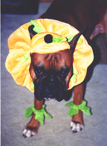 Halloween 2003