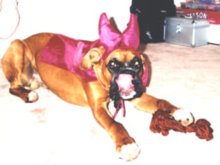 Halloween 2003