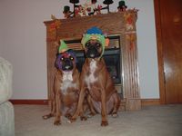 Halloween 2004