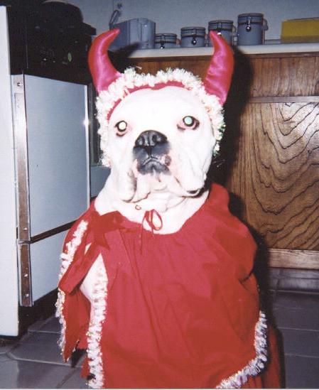 Halloween 2004