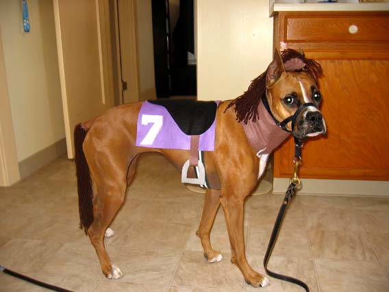 Halloween 2006