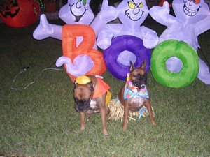 Halloween 2006