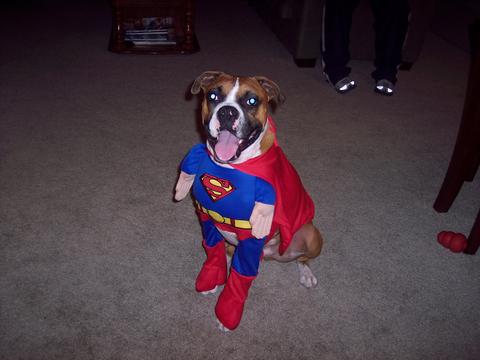 halloween costume