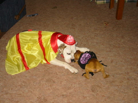 Halloween Costumes