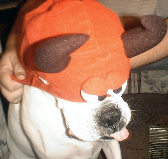 Halloween devil