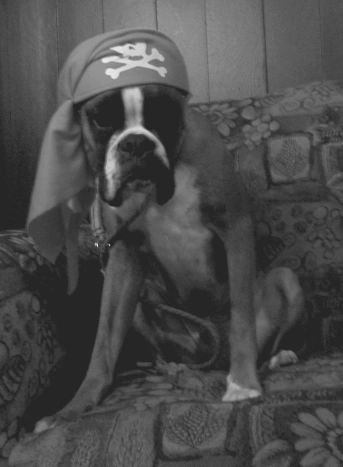 Halloween Igor!