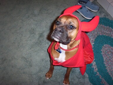 Halloween