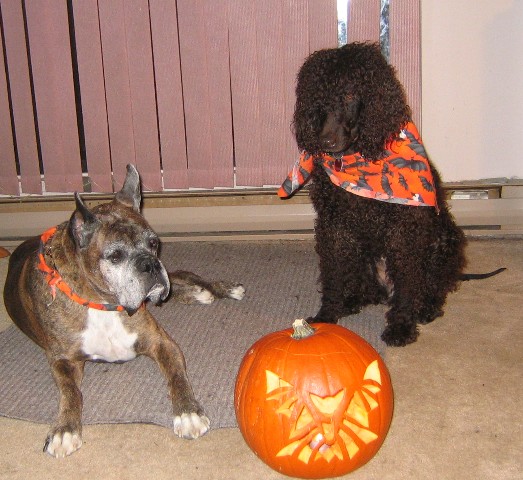 Halloween