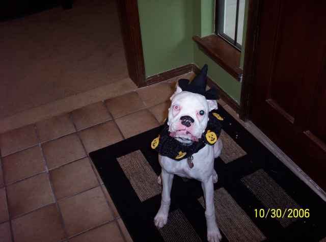 Halloween