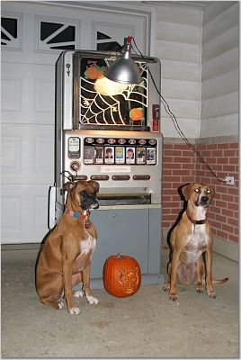Halloween