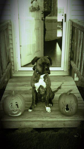 Halloween