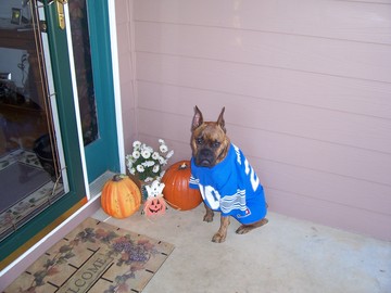 Halloween_20051
