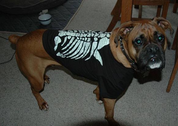 Hallween Costume 2006