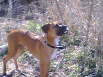 Handsome and proud of it!!!