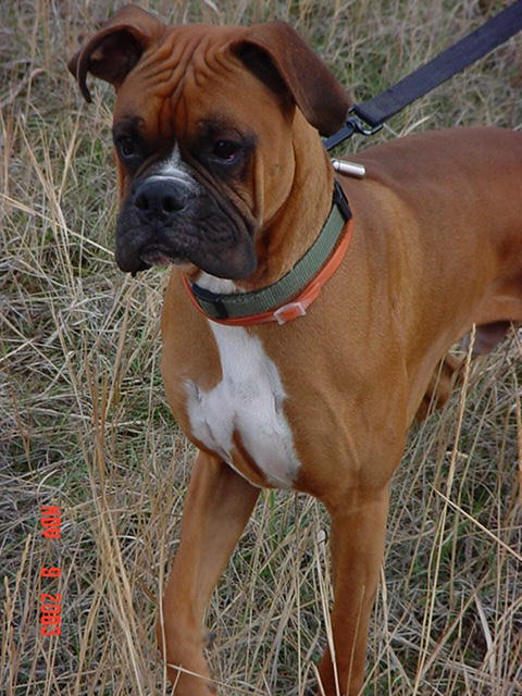 Handsome boy!