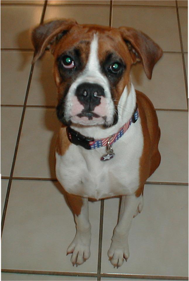 Handsome boy!