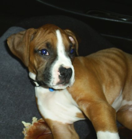 Handsome Boy!