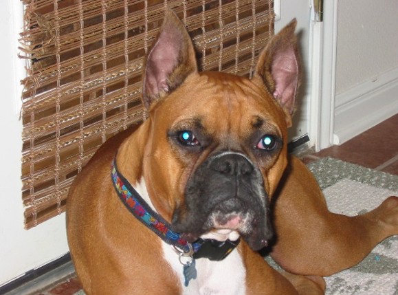 Handsome boy!