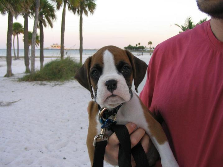 Handsome boy