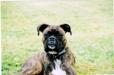 Handsome Boy!