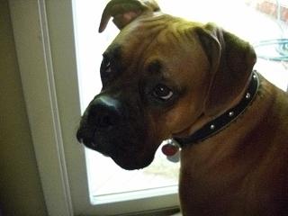 handsome boy