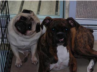 Handsome Boys!