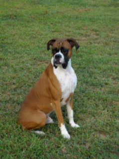 Handsome Cody