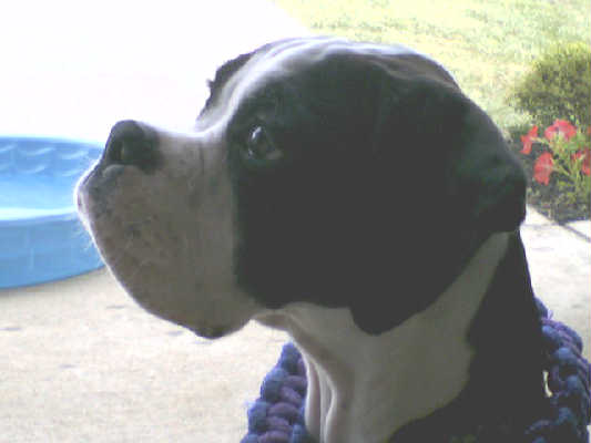handsome profile