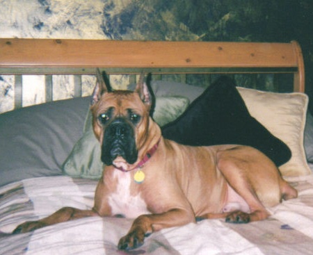 Handsome Sam