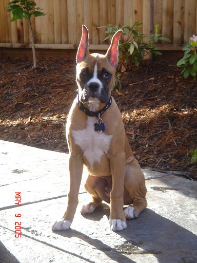 Handsome young man