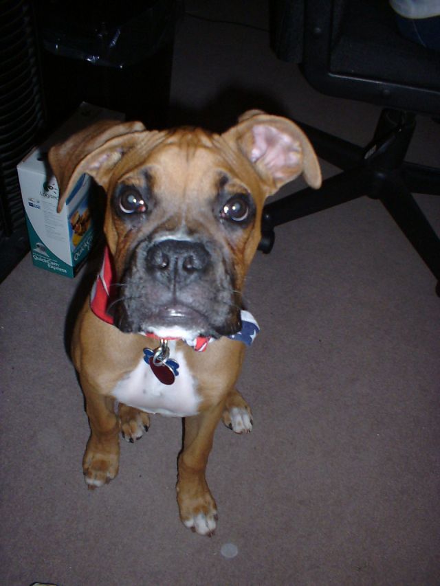Handsome