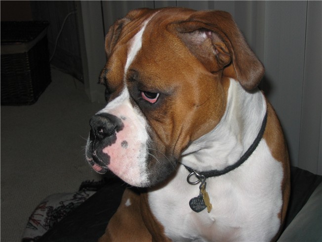 Handsome!
