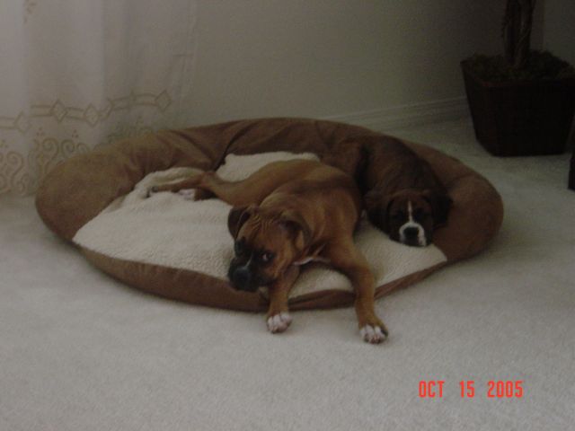 Hangin in moms room
