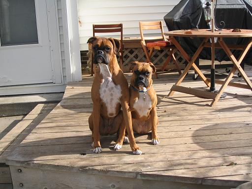 Hangin' on the deck