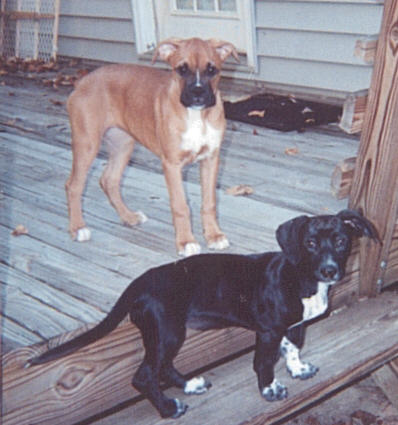 hangin' out on the deck!!