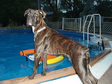 Hanging by the pool