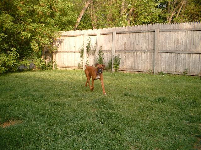 Hanging in the yard