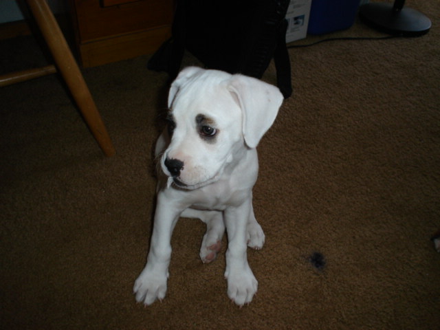 Hanging out 7 weeks