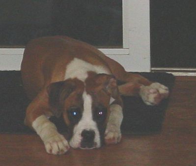Hanging out by the door
